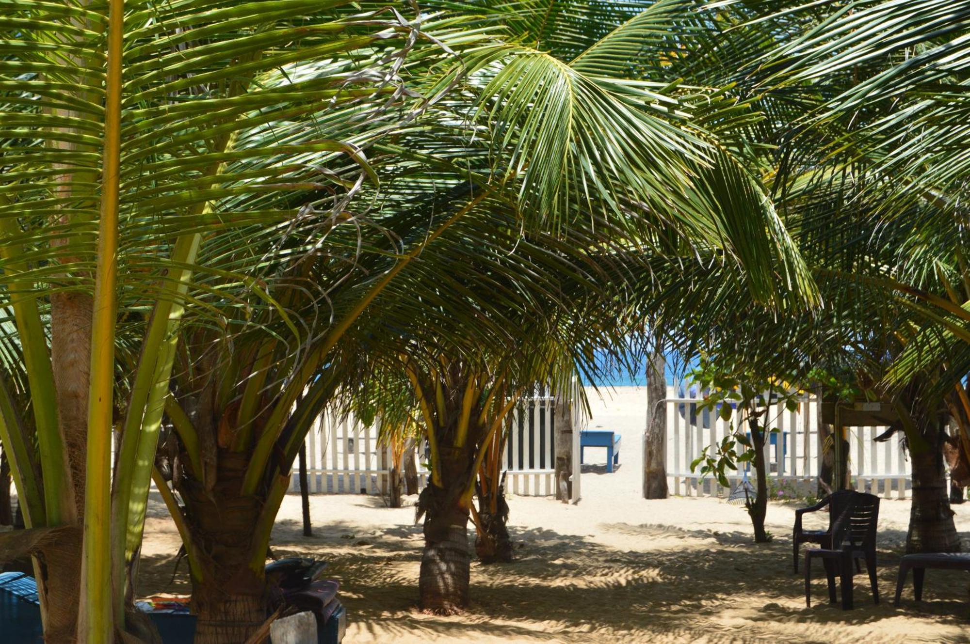 Shim Beach Resort Arugam Bay Exterior foto