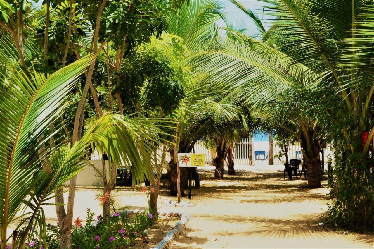 Shim Beach Resort Arugam Bay Exterior foto